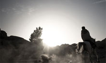 免费呼叫轰炸神器网页版